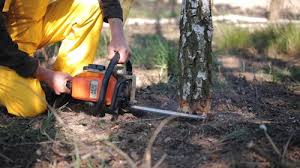 Best Soil Testing and Treatment  in Norwalk, CA