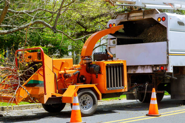 Best Tree Health Inspection  in Norwalk, CA
